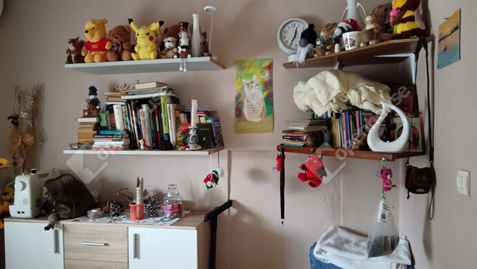 7. kép | Eladó Családi ház, Vízvár (#179402)