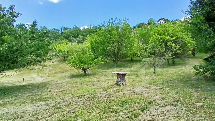 6. kép | Eladó Telek, Zalaegerszeg (#182103)
