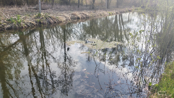 41. kép | Eladó Családi ház, Molnári (#180815)