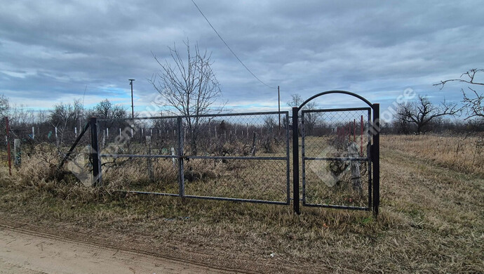 1. kép | Telek bejárat | Eladó Telek, Sülysáp (#178797)