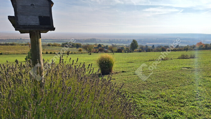 4. kép | Eladó Telek, Sopron (#178148)