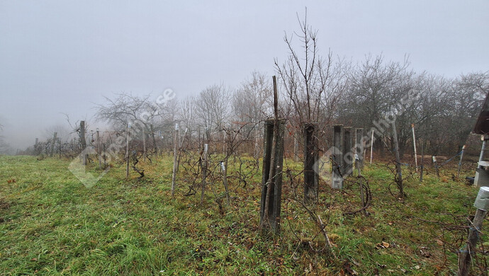 6. kép | Eladó Zárt kert, Mályi (#178619)