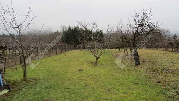 14. kép | Eladó Zárt kert, Lenti (#179558)