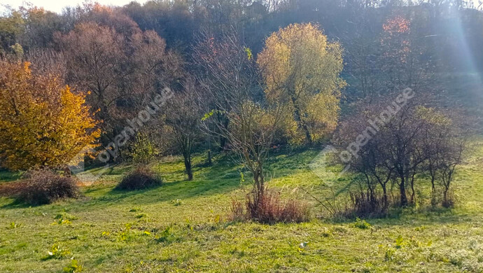 1. kép | Eladó Zárt kert, Zalaegerszeg (#69557)