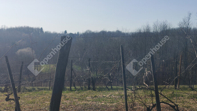 16. kép | Eladó Nyaraló, Becsehely (#180205)