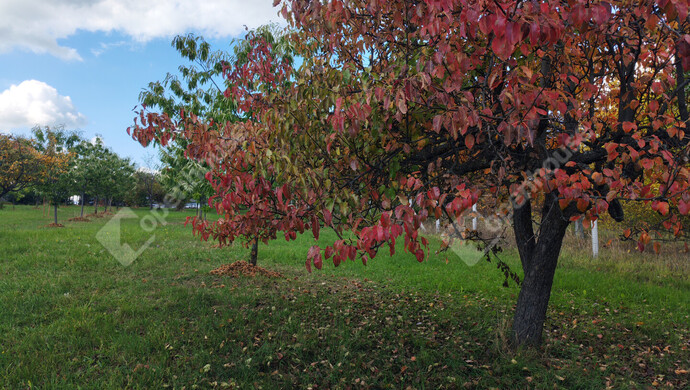 63. kép | Eladó Nyaraló, Nagykanizsa (#177970)