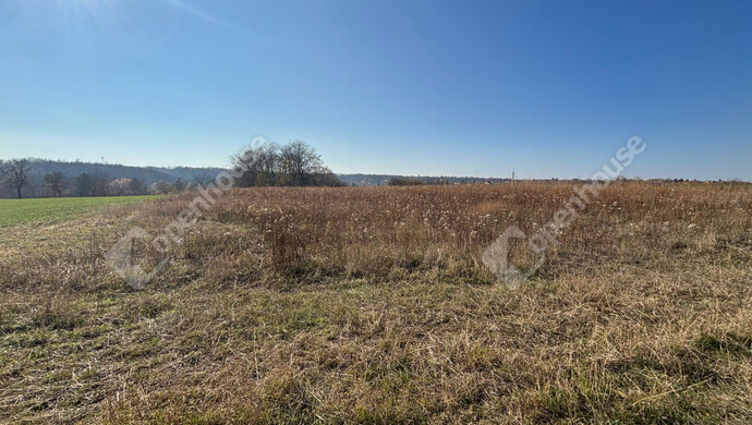 5. kép | Eladó Telek, Gomba (#178274)