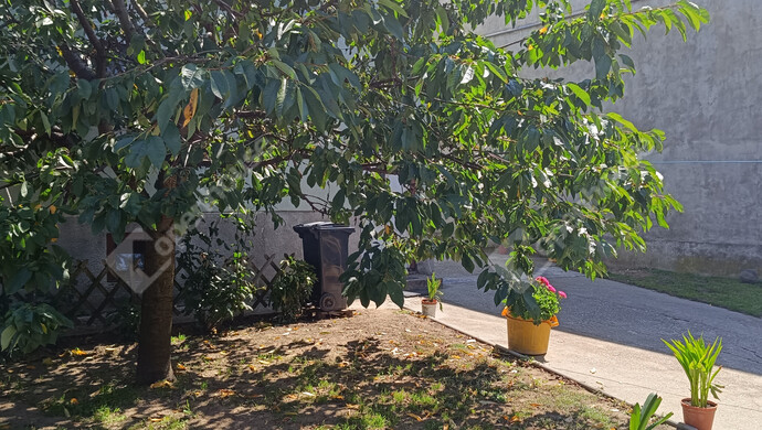 29. kép | Eladó Családi ház, Nagykanizsa (#176993)