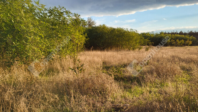 20. kép | Eladó Családi ház, Csévharaszt (#177560)