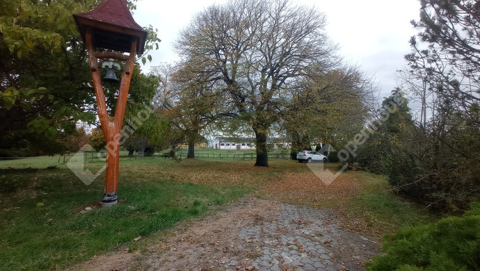 7. kép | Eladó Mezőgazdasági, Pölöske (#178048)