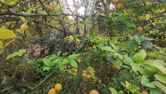 17. kép | Eladó Nyaraló, Homokkomárom (#179217)