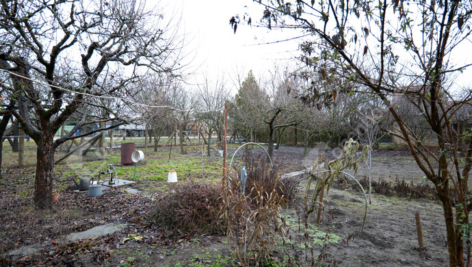 11. kép | Eladó Zárt kert, Szeged (#179444)