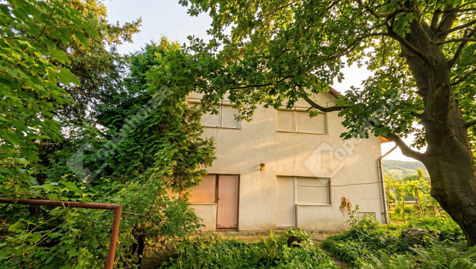 9. kép | Terasz kijárat, ablakok a nappaliból | Eladó Családi ház, Miskolc (#180878)