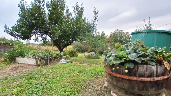 29. kép | Eladó Zárt kert, Zalaegerszeg (#177226)