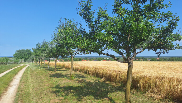 27. kép | Eladó Családi ház, Marcali (#177772)