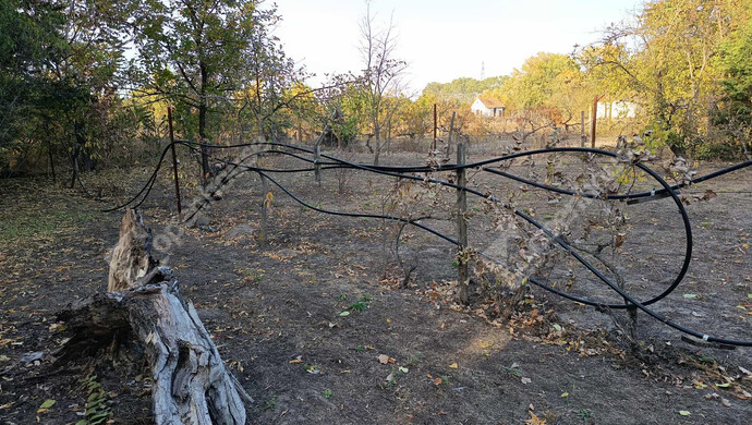 5. kép | Eladó Zárt kert, Szeged (#178419)