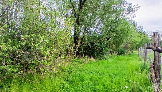 13. kép | Eladó Telek, Zalaegerszeg (#181405)