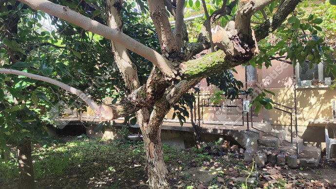 44. kép | Eladó Családi ház, Porrogszentkirály (#178270)