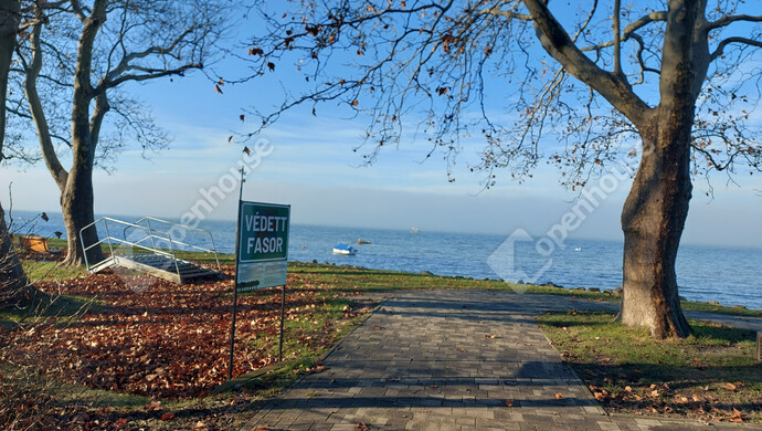 6. kép | Eladó Családi ház, Balatonboglár (#178707)