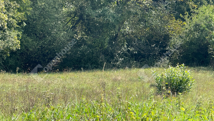 15. kép | Eladó Telek, Zalaegerszeg (#177033)