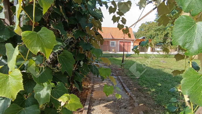 34. kép | Eladó Családi ház, Letenye (#177130)