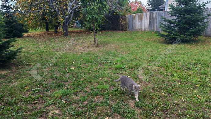 76. kép | Eladó Nyaraló, Nagykanizsa (#177970)