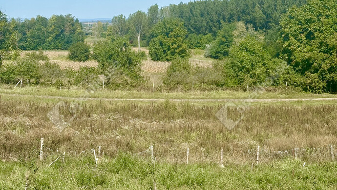 2. kép | Eladó Családi ház, Ádánd (#177301)