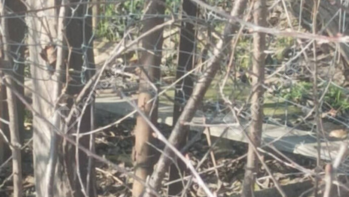 6. kép | Eladó Telek, Kunmadaras (#177042)