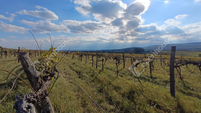 6. kép | Eladó Telek, Harka (#177346)