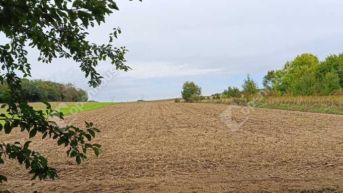 24. kép | Eladó Családi ház, Zalamerenye (#177576)