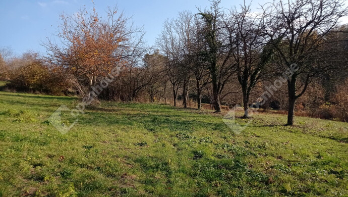 1. kép | Eladó Zárt kert, Zalaegerszeg (#69558)