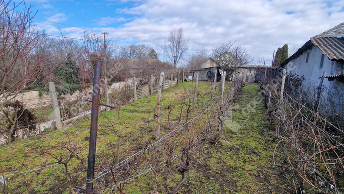 25. kép | Eladó Családi ház, Vizsoly (#179937)