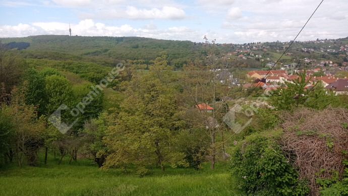 7. kép | Eladó Telek, Zalaegerszeg (#181205)