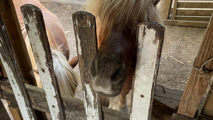 19. kép | Eladó Nyaraló, Ságvár (#176890)