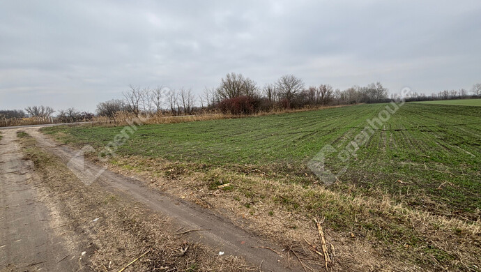 2. kép | Eladó Telek, Csévharaszt (#178889)