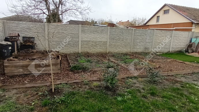 22. kép | Eladó Családi ház, Algyő (#179031)