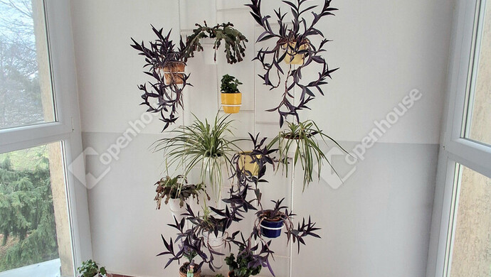 3. kép | Eladó Társasházi lakás, Bábolna (#179471)