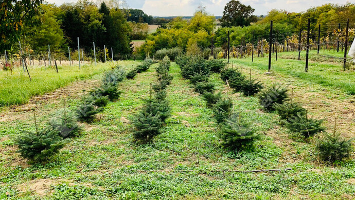 15. kép | Eladó Nyaraló, Tótszentmárton (#180089)