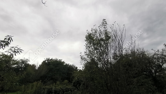 13. kép | Eladó Nyaraló, Homokkomárom (#177348)