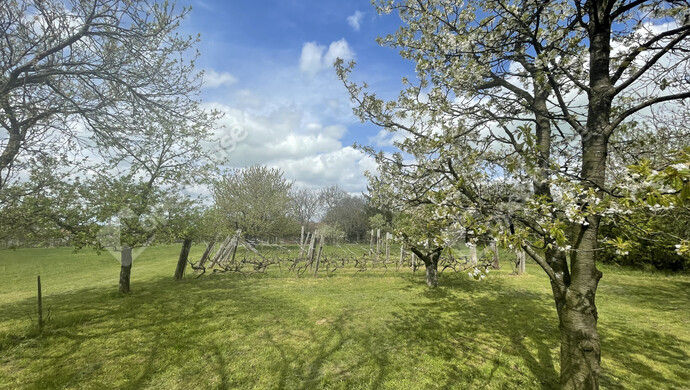 6. kép | Eladó Családi ház, Balatonberény (#177700)