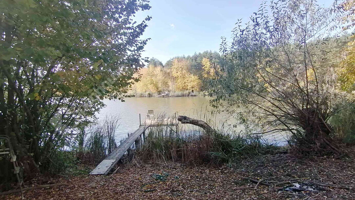 12. kép | Eladó Nyaraló, Zalaigrice (#178070)