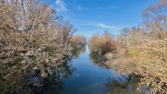 16. kép | Eladó Családi ház, Börcs (#178813)