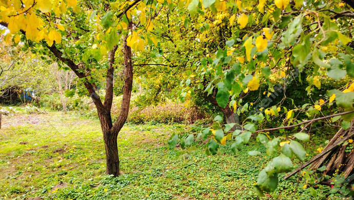 12. kép | Székesfehérvár eladó családi ház | Eladó Családi ház, Székesfehérvár (#177543)