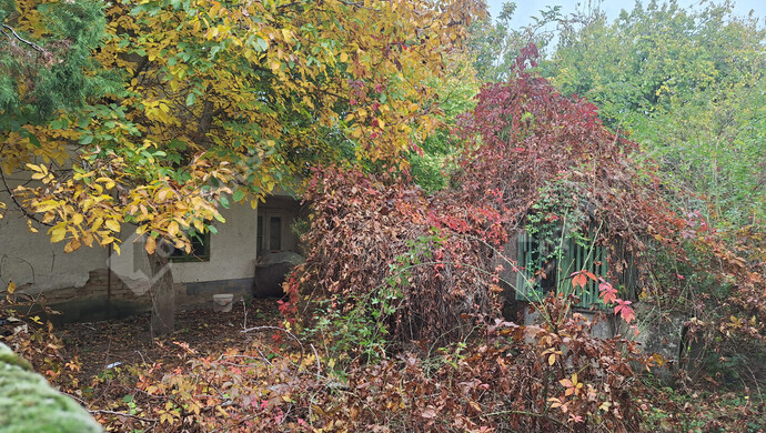 3. kép | Eladó Családi ház, Újkér (#170802)