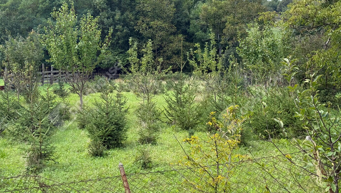 18. kép | Eladó Telek, Kustánszeg (#176957)