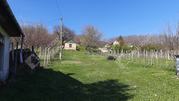 7. kép | Eladó Családi ház, Gősfa (#178305)