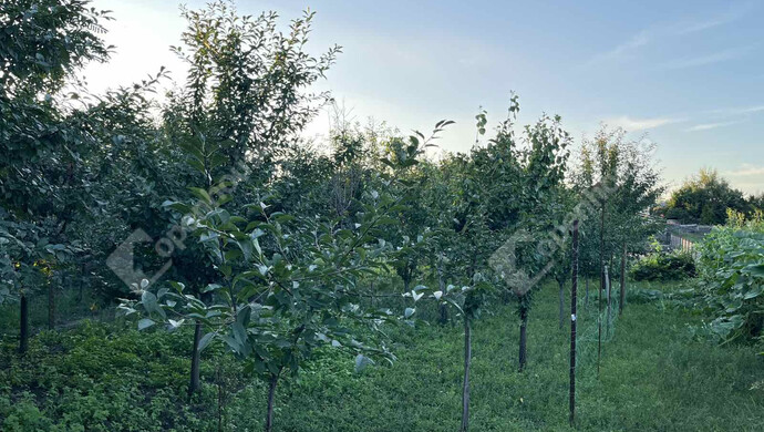 19. kép | Eladó Családi ház, Mikepércs (#180525)