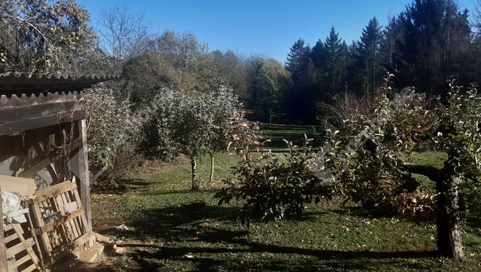 8. kép | Eladó Nyaraló, Sand (#178225)