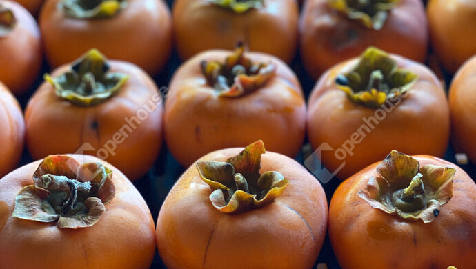 56. kép | Eladó Nyaraló, Nagykanizsa (#177970)