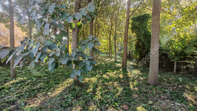 3. kép | Eladó Családi ház, Lengyeltóti (#178112)